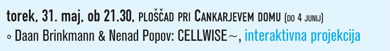 Daan Brinkmann
                    & Nenad Popov: Cellwise~