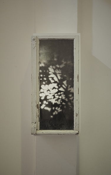Alessandro Lupi: Berlin windows, Trees, Anti-ego
                Mirror