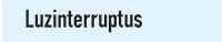 Luzinterruptus