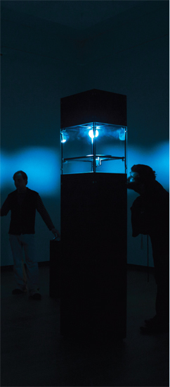 Daan Brinkmann
& Gosse de Kort: Hybrid