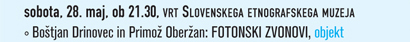 Galerija Vzigalica