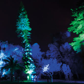Kari Kola: Nordic Elements,
              festival Lumina, 2013