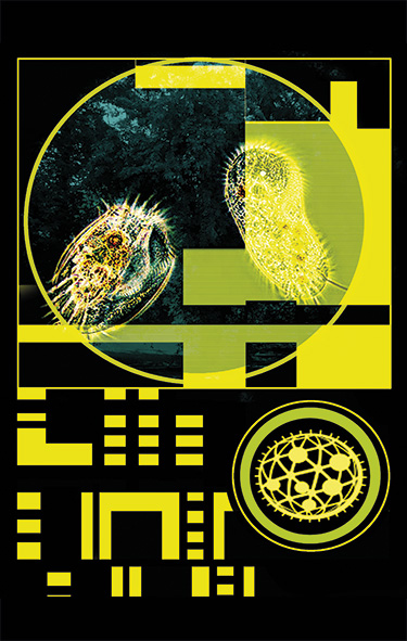 MARKO
                  BATISTA: Microcosmos