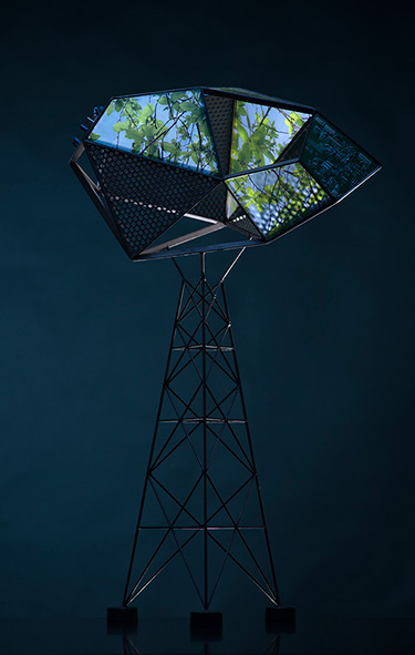 BOŠTJAN DRINOVEC: Tree particle