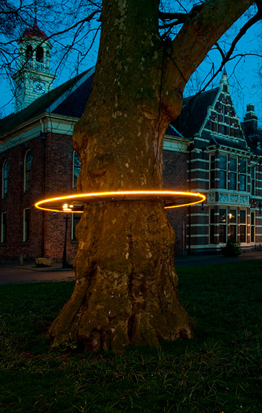 TAMAR
                  FRANK: Light halo
