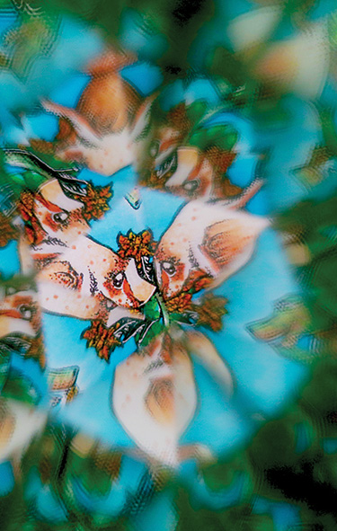 Students
                  of the School of design and photography Ljubljana:
                  Caleidoscope or Observation of the beauty of shapes