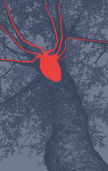 Sabina
                  Černič & Janez Grošelj: Tree heartbeat