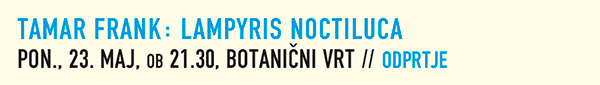 Tamar
                  Frank: Lampyris Noctiluca