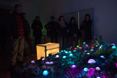 Visualia group: Čarobni vrt / Magic Garden