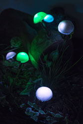 Visualia group: Čarobni vrt / Magic Garden