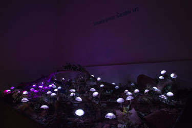 Visualia group: Čarobni vrt / Magic Garden