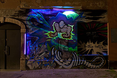 Borut Bucinel: Soulshine gverila