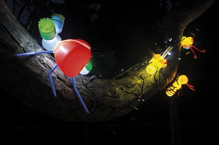 iz delavnice Fantastična vegetacija, foto: DK