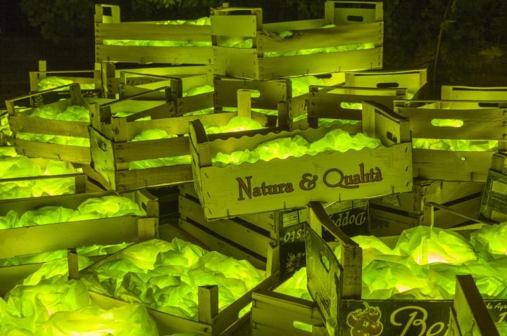 MARO AVRABOU & DIMITRI XENAKIS: GMO: Green Marvellous Opulence / GSO: čudovito zeleno obilje