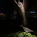 KATJA PATERNOSTER: Nočni obiskovalci