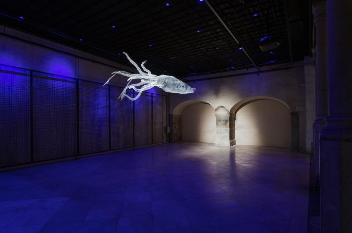 Katja Paternoster: Pod gladino