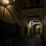 Marika Gönc: Nočna ribica