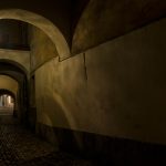 Marika Gönc: Nočna ribica