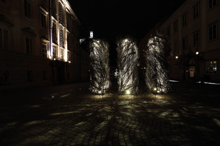 Matej Bizovičar: Žarek, foto: Borut Bučinel