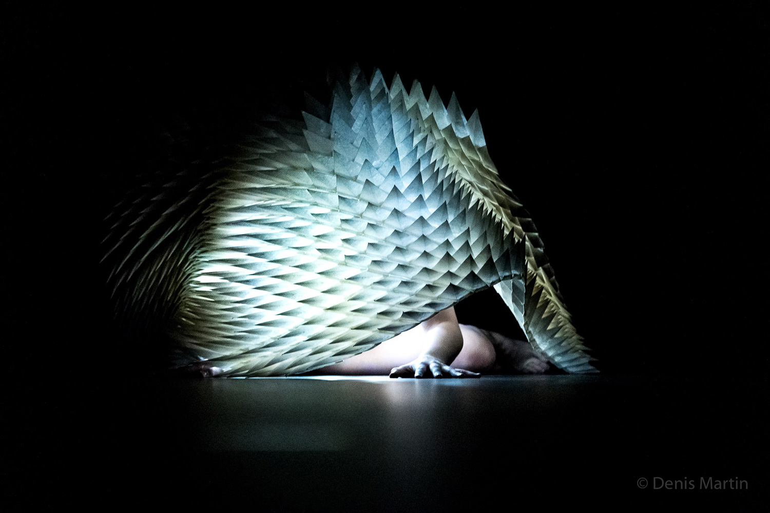 Bettina Szabo/Petrikor Danse: Habitat