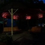 Nika Erjavec: Celične pokrajine