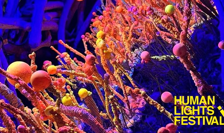 Matej Bizovičar: Micelij, Human Lights Festival, Jönköping / Råslätt, Švedska