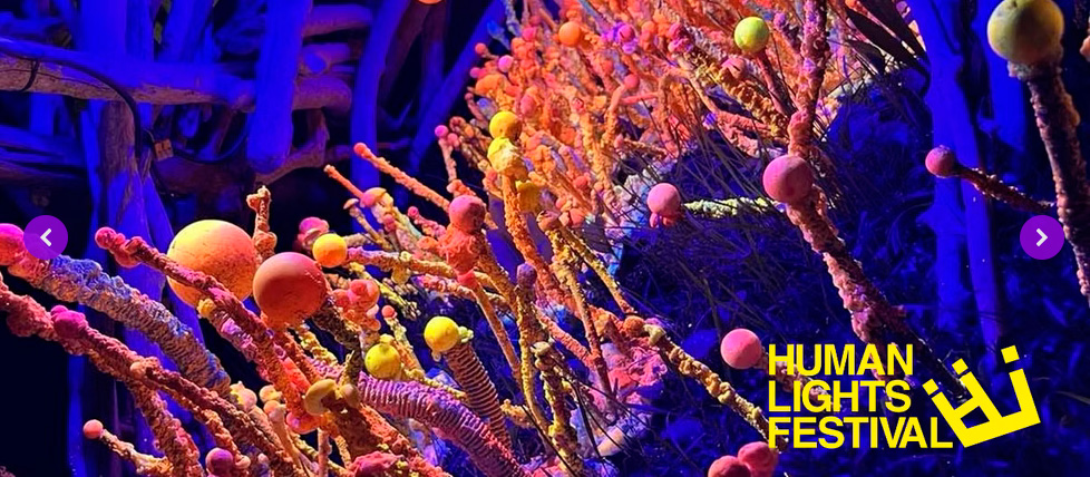 Matej Bizovičar: Micelij, Human Lights Festival, Jönköping / Råslätt, Švedska