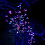 Matej Bizovičar: Brbotanje, LUV fest