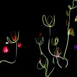 Nika Erjavec: Brstenje, lUV fest, 2026