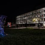 photoDK_InVivo_02
