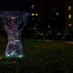 photoDK_InVivo_03