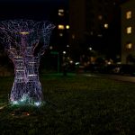 photoDK_InVivo_05