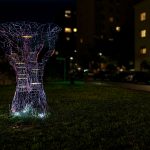 photoDK_InVivo_07