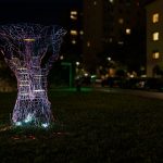 photoDK_InVivo_08