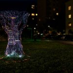 photoDK_InVivo_10