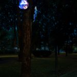 photoDK_NTF_Simbioza_02