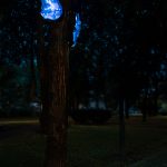photoDK_NTF_Simbioza_04