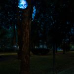 photoDK_NTF_Simbioza_05