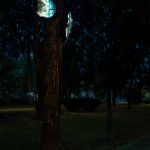photoDK_NTF_Simbioza_06