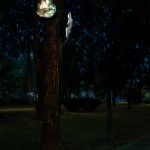 photoDK_NTF_Simbioza_07