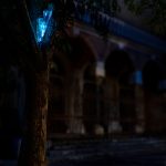 photoDK_NTF_Simbioza_17