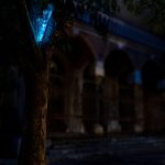 photoDK_NTF_Simbioza_18