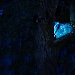 photoDK_NTF_Simbioza_19
