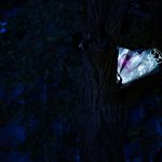 photoDK_NTF_Simbioza_22