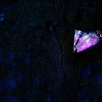 photoDK_NTF_Simbioza_23