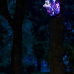 photoDK_NTF_Simbioza_25