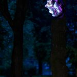 photoDK_NTF_Simbioza_26