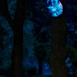 photoDK_NTF_Simbioza_27