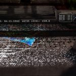 photoDK_SwampMatter_06