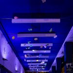 photoDK_manuela_pauk_UnderPressure_01